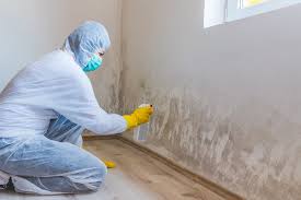 Best Industrial Mold Remediation  in Los Banos, CA