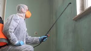 Best Biohazard Mold Removal  in Los Banos, CA