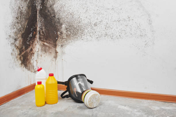 Best Mold Remediation for Rental Properties  in Los Banos, CA